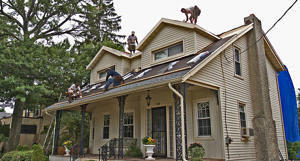 Best Flat Roof Repair Services  in Bells, TN